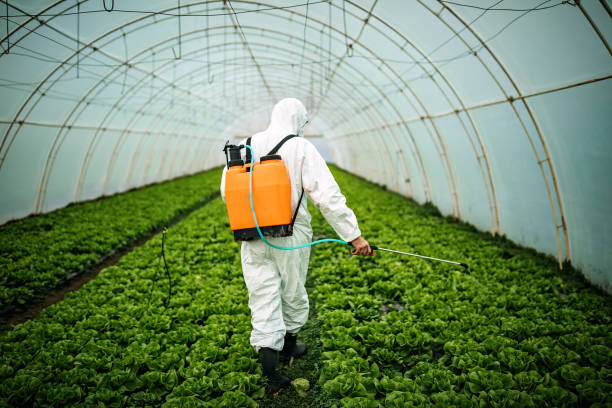 Best Ant Control Services  in Rotan, TX